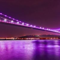FSM alzheimer hastalığı için aydınlanacak