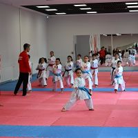 Gaziosmanpaşalı Karateciler Başarılarını Uluslararası Arenaya Taşıyor