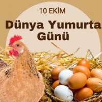 “Güçlü Yumurta: Doğal Besinlerle Dolu”