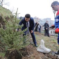 HER BEBEK BİR AĞAÇLA BÜYÜYOR: KÂĞITHANE&#39;DE YEŞİL GELECEK