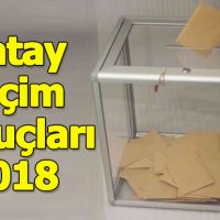 Hatay seçim sonuçları 2018 - 24 Haziran oy oranları