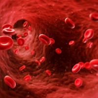 Hemofili nedir? Belirtileri nelerdir "Dünya Hemofili Günü" hangi tarihte? hastalığın testi var mı pıhtılaşma nasıl olur