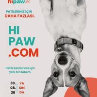Hipaw, Patili Dost Hizmetlerinde Yeni Bir Dijital Ekosistem Kuruyor