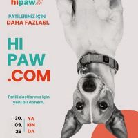 Hipaw, Patili Dost Hizmetlerinde Yeni Bir Dijital Ekosistem Kuruyor