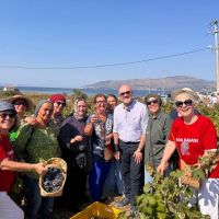İDO İle Avşa'da Adakarası Bağ Bozumu Coşkusu: Tarih, Gastronomi Ve Kültür Buluştu