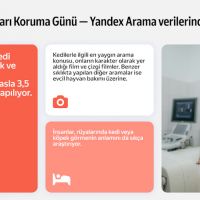 İnternet aramalarında kediler, köpekleri geride bırakıyor!