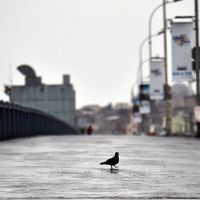 İstanbul'da sokağa çıkma yasağı ilan edilebilir