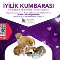 “İyilik Kumbarası” Bu Kez Sokak Hayvanlarına Umut Oluyor