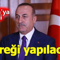 İzlanda'da Milli Takımımıza gösterilen çirkin tutuma Dışişleri bakanı'ndan tepki