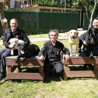 KADIKÖY BELEDİYESİ'NDE 4 SERTİFİKALI ARAMA KÖPEĞİ