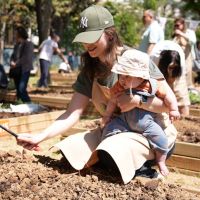KADIKÖY BOSTANLARI'NDA KIŞ DÖNEMİ İÇİN KAYITLAR BAŞLADI