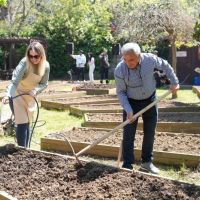 KADIKÖY BOSTANLARI'NDA YAZ DÖNEMİ BAŞLADI