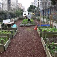 KADIKÖY'DE EKOLOJİK YAŞAM MERKEZİ'NDE ATÖLYELER SÜRÜYOR