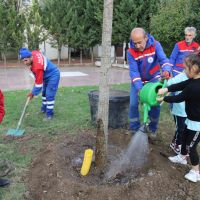 KÂĞITHANE'DE DOĞAN HER BEBEK İÇİN BİR FİDAN TOPRAKLA BULUŞUYOR