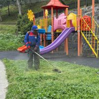 KÂĞITHANE'DE YEŞİL ALANLARDA BAKIM VE DÜZENLEME ÇALIŞMALARI SÜRÜYOR