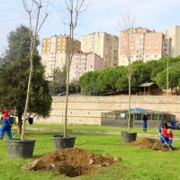 KÂĞITHANE'DE YEŞİL DÖNÜŞÜM