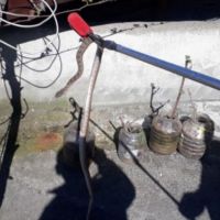 Kahramanmaraş'ta evin çatısındaki yılan paniğe sebep oldu