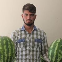 Karpuz kabak çıktı satıcıyı bıcakladı