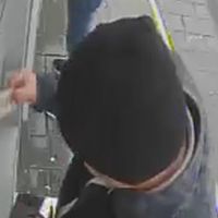 Kart dolandırıcılarına operasyon