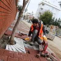 Kartal Belediyesi, Yarım Asırlık Ağaçlara ‘Nefes Borusu' ile Can Veriyor
