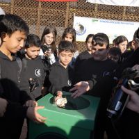 Kartal'da Çevre Bilincini Artıran Çifte Etkinlik