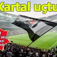 Kartallar zirveyi sever