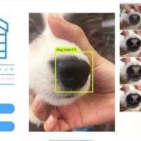 Kayıp köpekleri bulmak için yapay zeka kullanılacak