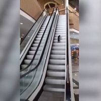 Kedinin yürüyen merdiveni oyun aracı yapması