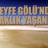 Kırşehir'deki Seyfe Gölü kuraklığı yaşıyor