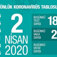 Koronavirüsten ölenlerin sayısı 356'ya yükseldi