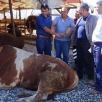 Kurban etini muhafaza ederken bunu yapmayın