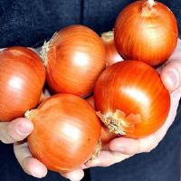 Kuru soğanda gümrük vergisi geçici olarak sıfırlandı