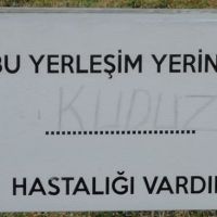 Kütahya'da kuduz karantinası başlatıldı