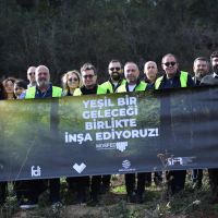 MOSFED, Türkiye'nin 7 Bölgesinde Her Biri 10 Bin Ağaçtan Oluşan Yedi Orman Kuruyor