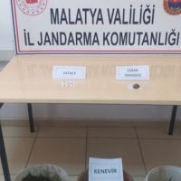 Malatya'da uyuşturucu baskını: 1 tutuklama