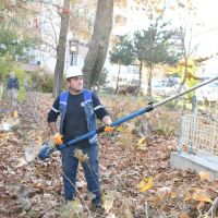 Mamak'ta Sonbahar Budama Çalışmaları Sürüyor