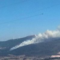 Manisa'da korkutan orman yangını