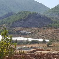Mersin'de orman yangını!