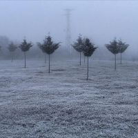 Meteorolojiden don ve buzlanma uyarısı!