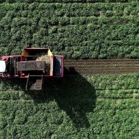 Mezra Ziraat 2025 Yılında 22 Bin 500 Dekara Ulaştı