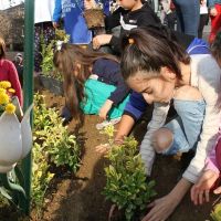 Minik eller toprakla buluştu, park ve meydanlar yeşillendi