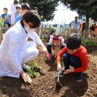 Minikler, Yerli ve Organik Tarımın Önemini Hobi Bahçelerinde Öğreniyor