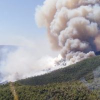Muğla'da yine orman yangını