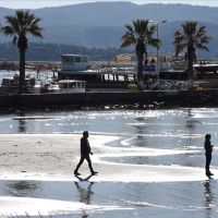 O şehirde deniz suyu 30 metre çekildi!