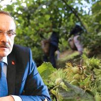 Ordu Valisi uyardı! Dikkatli olalım!
