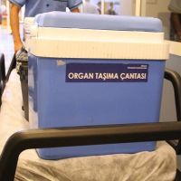Organ nakli bekleyen çok fazla ama nakil yok!