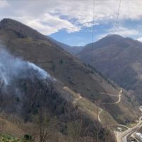 Orman yangınlarına sebep olanlara suç duyurusu