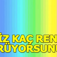 Renk görme testi! Siz kaç renk görüyorsunuz?
