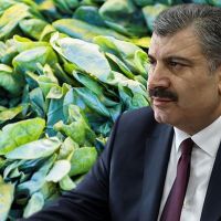 Sağlık Bakanından ıspanak açıklaması