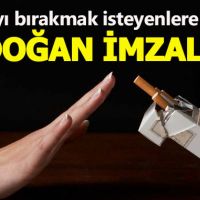 Sigarayı bırakmak isteyene ücretsiz sağlık hizmeti
